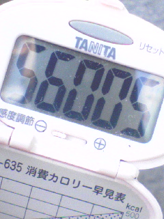 56000歩超