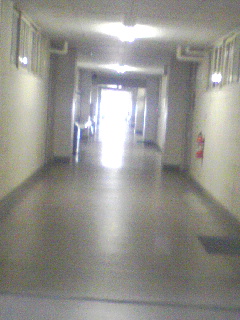 仕事場の廊下