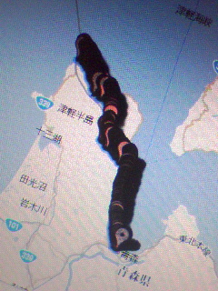 昨日の行動