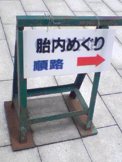 胎内巡り