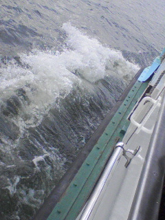 海の色