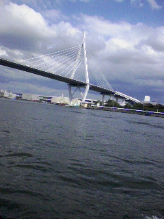 ちなみに橋ってこんな橋