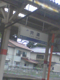 宍道着