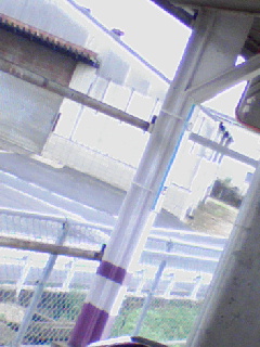 乃木着