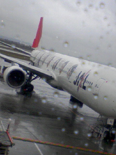 本日の飛行機