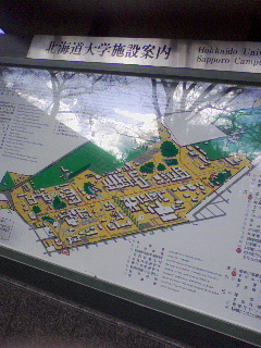 大学構内図