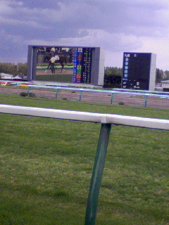 競馬場見学