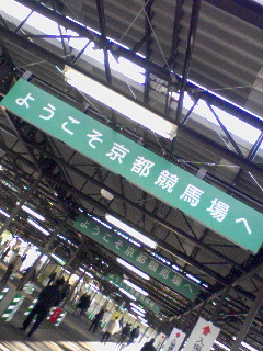 京都競馬場