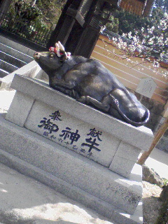 牛