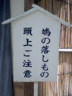 鳩の落とし物