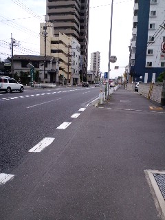 マーチ型パトカー