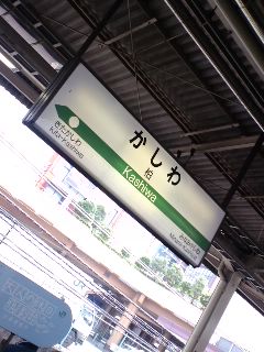 柏着