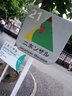 ニホンザル