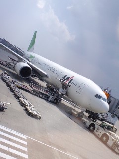緑の飛行機