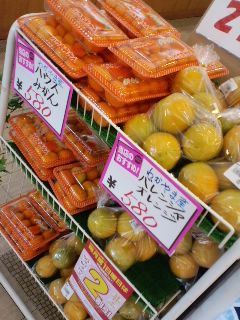 みかん