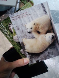 旭山動物園ポストカード