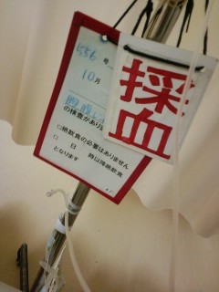 明日の予定