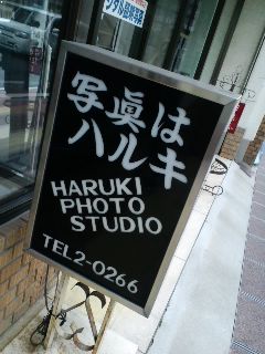 写真はハルキ