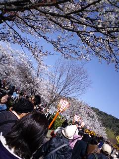 丸山公園