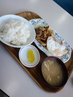 本日の朝食