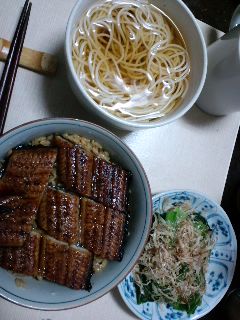 本日の夕食