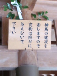 食べ物は絶対にあげないでください