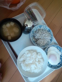 本日の朝食兼昼食