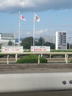 香美町松葉ガニ特別