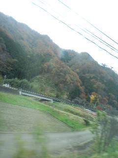 紅葉