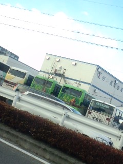 緑のバス