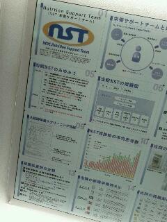 NST