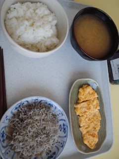 本日の朝食兼昼食