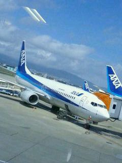 本日の飛行機
