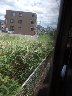 車窓の風景