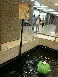 まつちカッパ