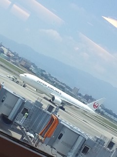飛行機観察