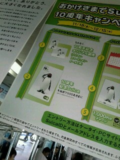 記念スイカ