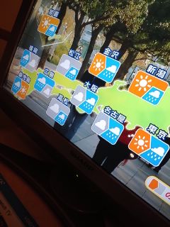 本日のお天気