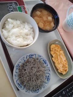 本日の朝食兼昼食