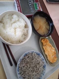 本日の朝食兼昼食