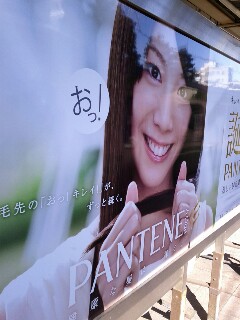 夏帆