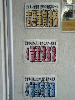 重賞一覧