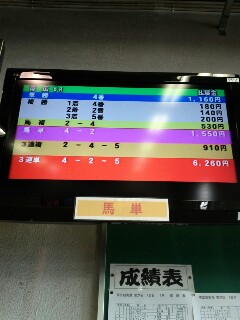 レース結果