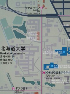 医学部付属病院