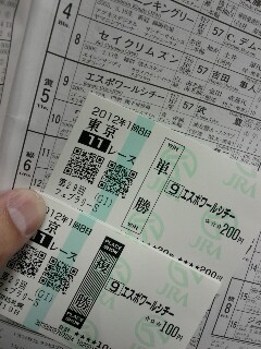 タケトヨメインレース