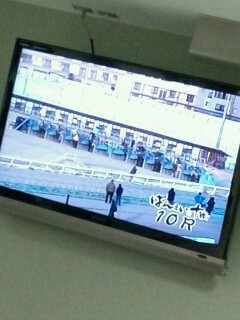 ばんえい競馬の中継