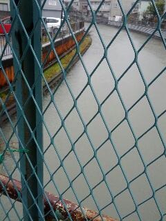 河川の水位