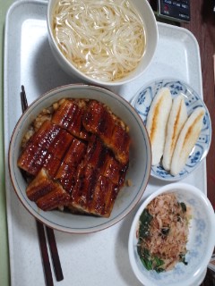 本日の夕食