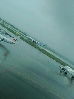 雨の日の飛行機鑑賞