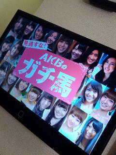 AKBのガチ馬